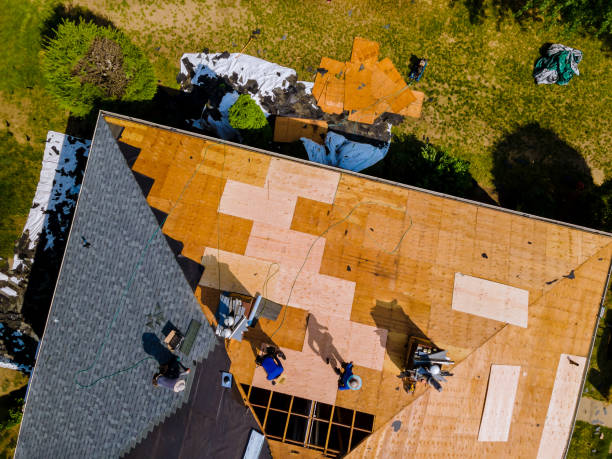 Quick and Trustworthy Emergency Roof Repair Services in Pine Castle, FL